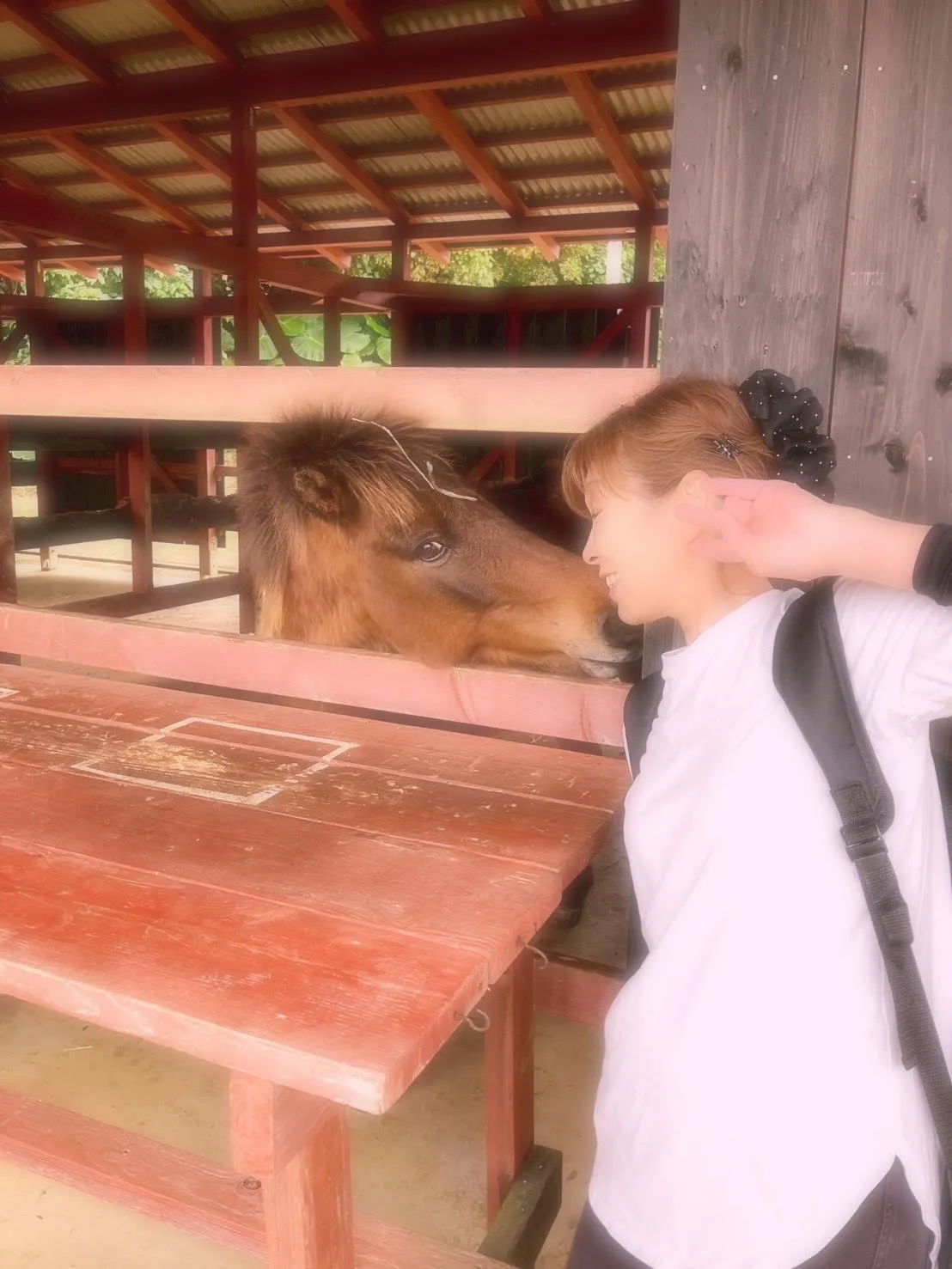 丙午🐎
